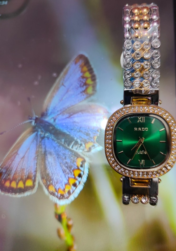 Ladies premium quality watch